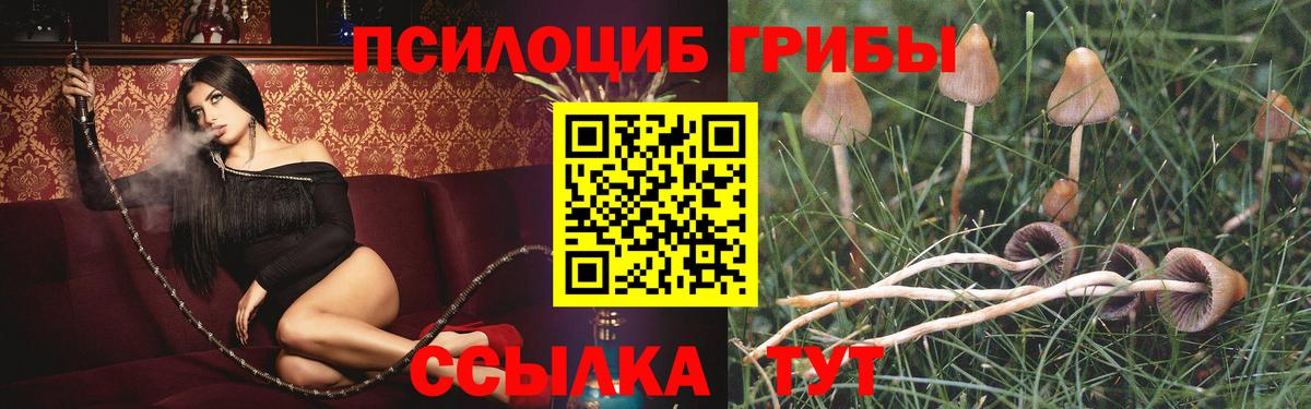 Псилоцибиновые грибы Psilocybine cubensis Альметьевск